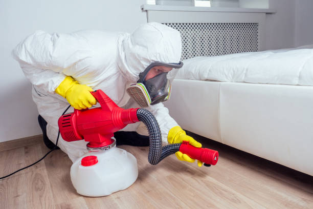 Best Affordable Exterminators  in Calvert City, KY